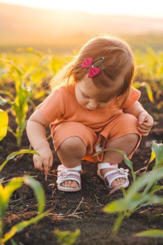 Young Girl in a cornfield playingh at planting a stalk.